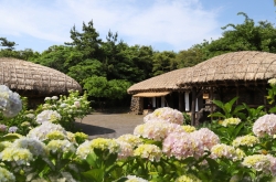 Jeju pushing to adopt e-travel authorization system next month for foreigners from visa-free countries