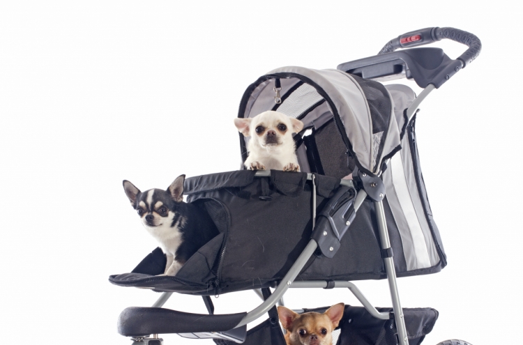 More strollers sold for furry companions than infants