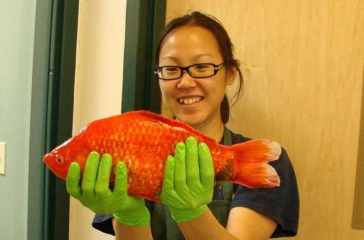 Giant goldfish found in Lake Tahoe