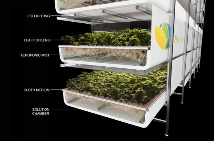 [INTERVIEW] Vertical farming: Growing greens in the air