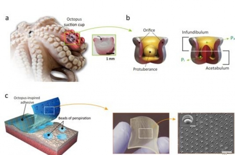 Scientists develop adhesive patch inspired by octopuses