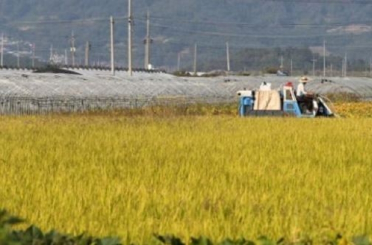 Korea's rice output expected to fall below 4m-ton mark this year