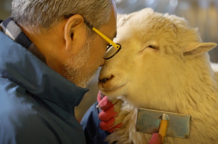 [Video] An afternoon in Seoul at a sheep cafe