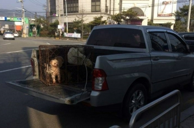 Vet caught handing off stray dogs for dog meat