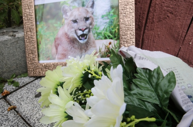 Death of puma triggers public protest against zoos in South Korea