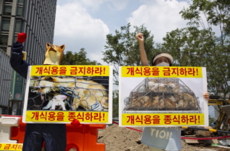 ‘Over 500,000 dogs are raised for meat in Korea’