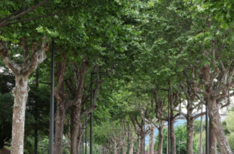 Is planting trees the best way to tackle heat waves?