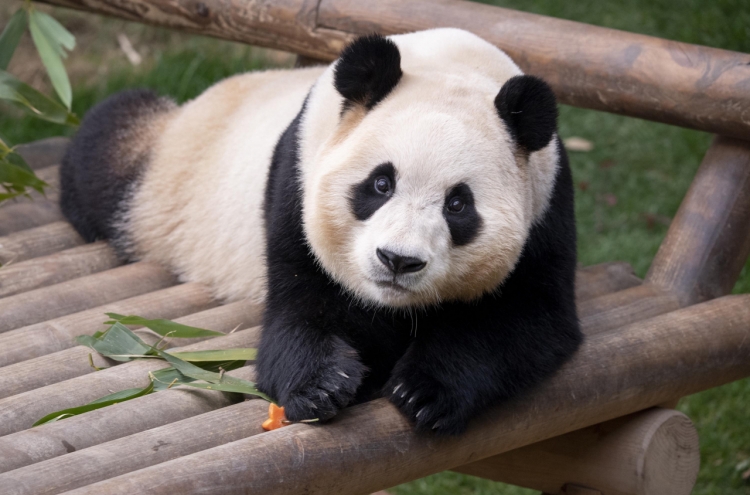 'We want Fu Bao back,' Seoulites petition for loan of beloved panda