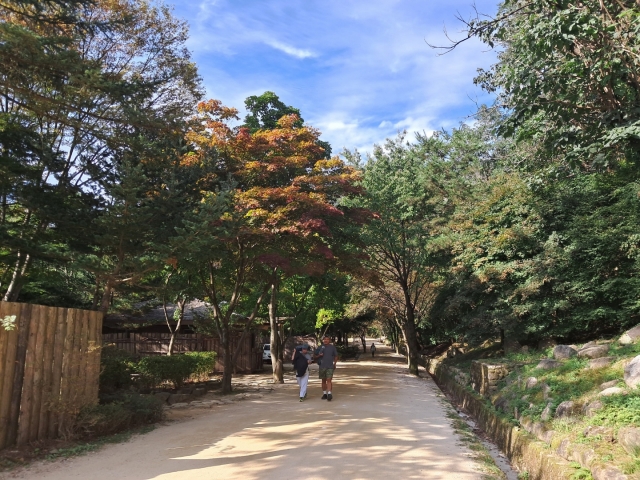 Visitors enjoy the early autumn foliage of Mungyeongsaejae Pass on Sept. 28. (Lee Si-jin/The Korea Herald)