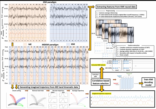 A graph explaining the hand movement trajectory imagination cognitive signal decoding algorithm. (KAIST)