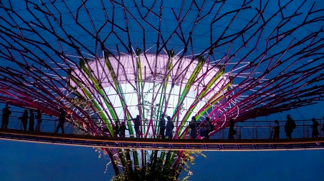 Gardens by the Bay in Singapore (ASEAN-Korea Center)