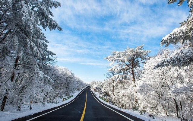 Jeju's Highland Road 1100, which offers a panoramic view of Hallasan Mountain. (Jeju Tourism Organizatoon)