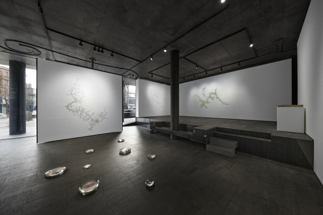 An installation view of 