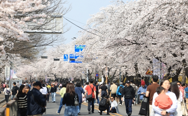 People walk under cherry blossoms along the Yunjungno street in Seoul's Yeouido last Saturday, three days before the annual cherry blossom festival begins. The festival will resume after a yearslong halt due to the COVID-19 pandemic. (Yonhap)