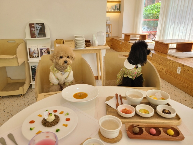 Dogs enjoy their full course meals at Pet Dining Mamma in Songpa-gu, eastern Seoul. (Jung Min-kyung/ The Korea Herald)