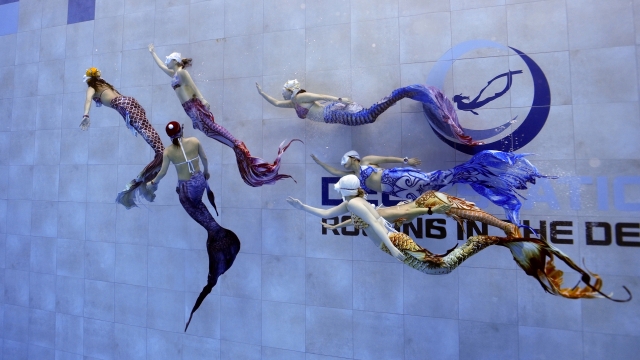 A group of mermaid practitioners swim underwater (Mer Freediving)