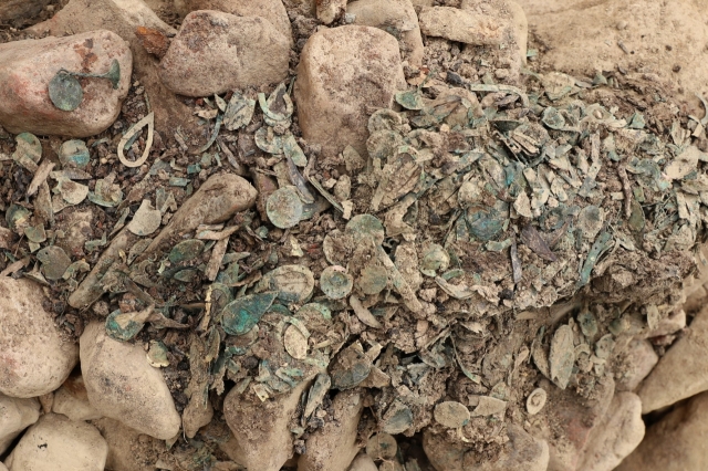 Flower petals and jewel beetles of a fabric mudguard are discovered at Jjoksaem Tomb No. 44. (CHA)