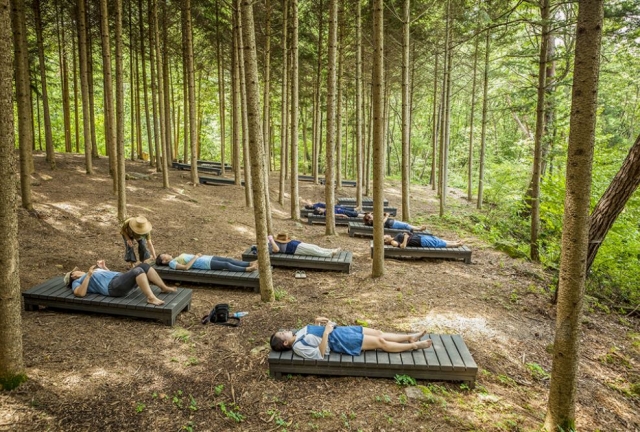 Visitors rest along one of Seoul Grand Park's forest trails in Gwacheon, Gyeonggi Province. (Seoul Grand Park)