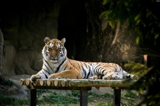 Photo of Suho during his lifetime (Seoul Grand Park)