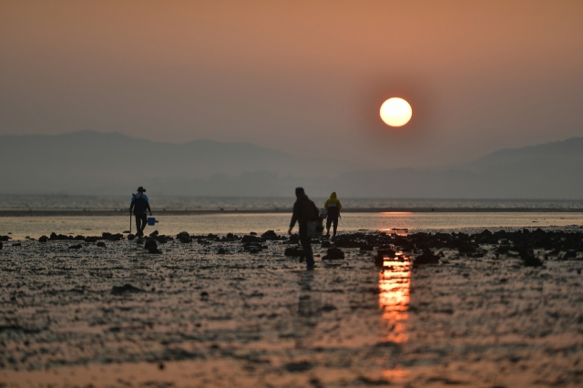 Getbol in Muan, South Jeolla Province (CHA)