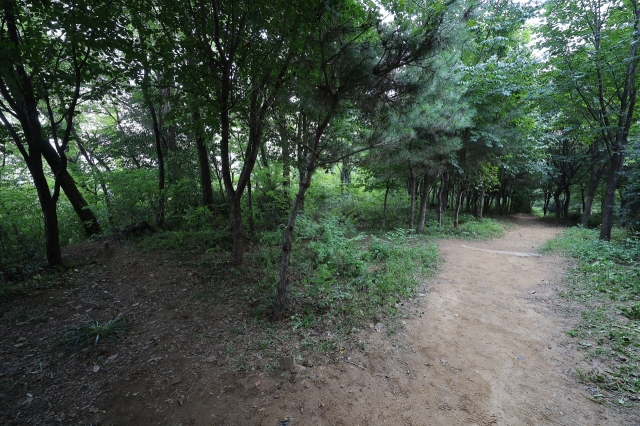 This photo shows the scene of the crime at a park in the Sillim district of Gwanak-gu, Seoul on Friday. (Joint Press Corp.)