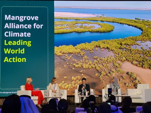 Park Eun-shik (second from right), head of international affairs at the Korea Forest Service, attends the ministry-level talks during this week's COP28 forum in Dubai, United Arab Emirates. (KFS)