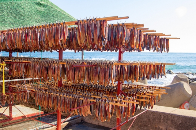 Gwamegi hang at Guryongpo in Pohang, North Gyeongsang Province. (Getty Images)