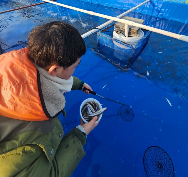 A child catches smelt fish at Yeouido Hangang Park. (Park Yuna/The Korea Herald)