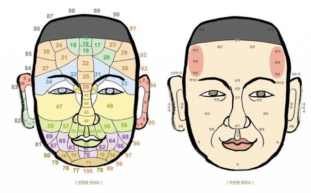 Physiognomic diagrams (Physiognomist Shin Ki-won's office)