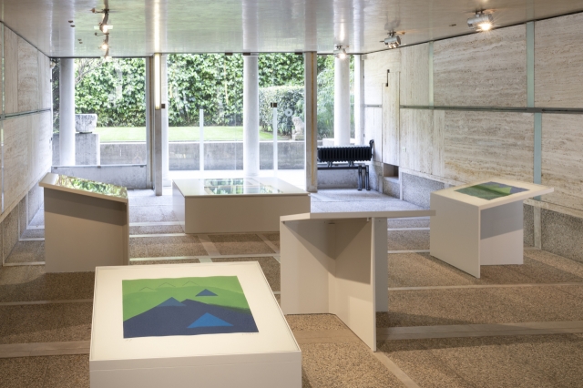 An installation view of 