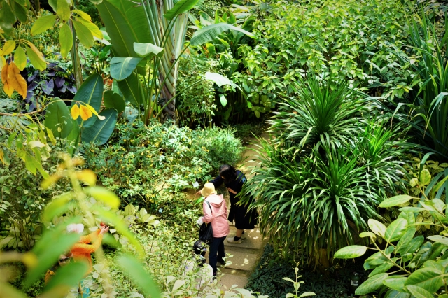 Visitors enjoy a light stroll inside Bucheon Lake Botanic Park in Bucheon, Gyeonggi Province, May 16. (Lee Si-jin/The Korea Herald)