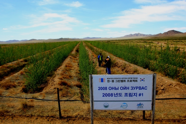 The reforestation site of the Korea-Mongolia Greenbelt Plantation Project located in Lun, Mongolia, begun in 2008. (Korea Forest Service)