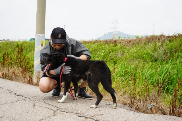 A Hamggehage participant takes a break after a light stroll near a dog shelter in Ilsan, Gyeonggi Province. (Lee Si-jin/The Korea Herald)