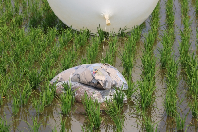 Bundles of trash connected to a balloon sent by North Korea are seen in a rice paddy in Incheon, west of Seoul, in this file photo taken Jun. 10. (Yonhap)