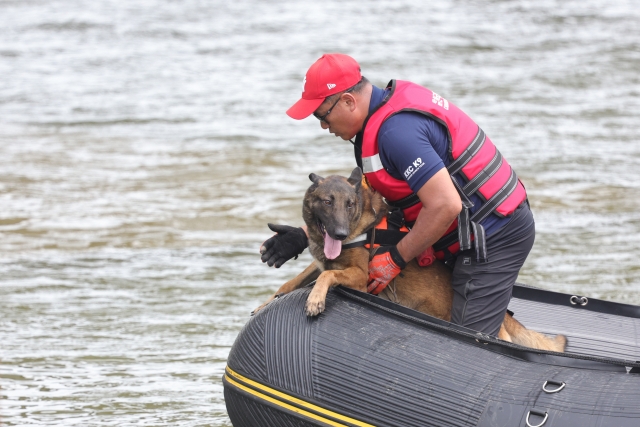 Cadaver dog Alpha participates in a rescue drill with water drones in Goyang, Gyeonggi Province. (Yonhap)