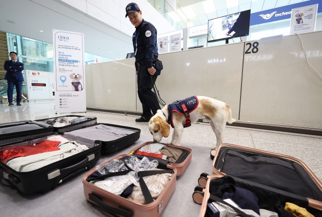 Ceco, South Korea's first bedbug detection dog, inspects luggage for the presence of bedbugs during a demonstration by a local pest control company CESCO at Incheon International Airport's Terminal 2 in Incheon, on last Thursday. (Yonhap)