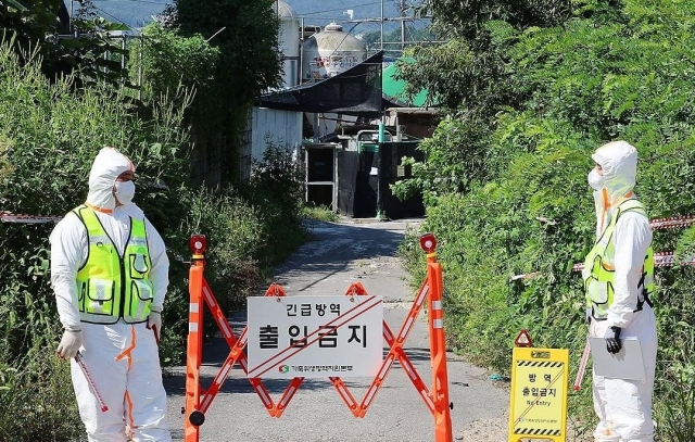 Authorities control access to the entrance of a pig farm in Gimpo, Gyeonggi Province, where African swine fever has been detected, on Aug. 31, 2024. (Yonhap)