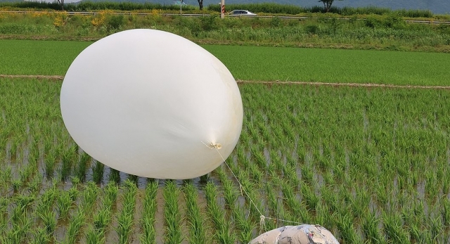 This file photo, taken June 10, 2024, shows a trash-carrying balloon sent by North Korea in a rice paddy in Incheon, just west of Seoul. (Yonhap)