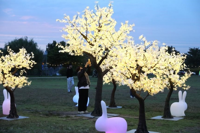 A visitor photographs the ginkgo tree light installations at Jamwon Hangang Park in Gangnam-gu, southern Seoul, in 2023. (Gangnam-gu)