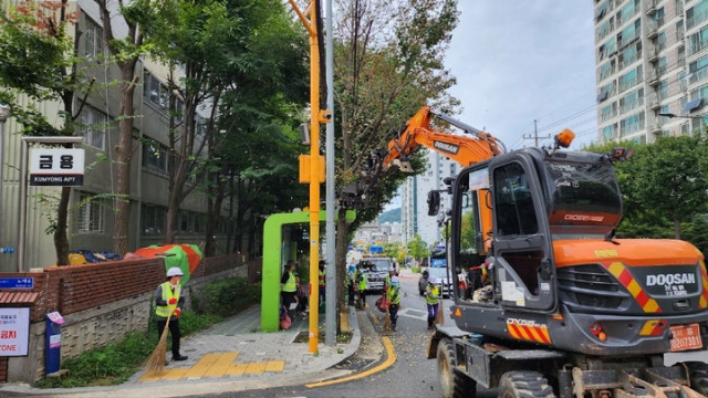 Workers shake a gingko tree to collect its seeds in Seoul. (Seoul Metropolitan Government)