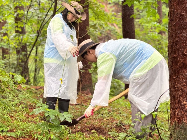 University students plant a magnolia seedling at Baekdudaegan National Arboretum in Bongha, North Gyeongsang Province, in July. (Posco)