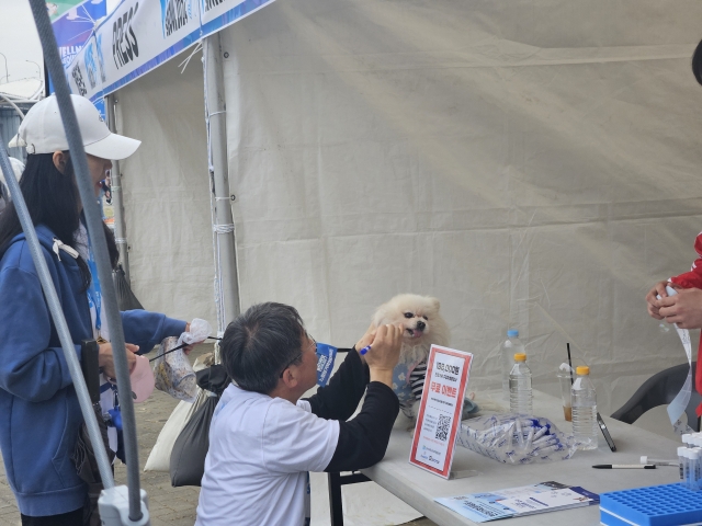 A pet owner conducts an oral microbiome test on his dog at the Wellness Seoul 2024 pet care booth. (Wellness Seoul 2024)