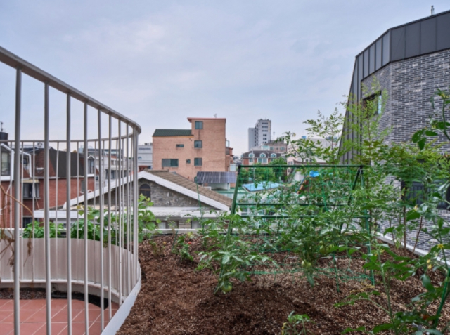 One of the shared gardens at Third Place 6, located in Namgajwa-dong, Seodaemun-gu, Seoul (Choi Jin-bo)