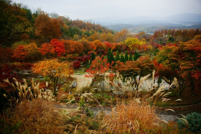 Panoramic view of Hantaek Botanical Garden area (Hantaek Botanical Garden)