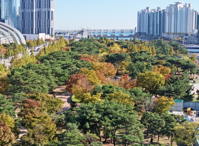 Green and red leaves are spotted together at APEC Naru Park in Busan on Nov. 6. Fall leaves were recorded later this year compared to previous years, as the beginning of the fall foliage is usually recorded on Nov. 2 in the city. (Yonhap)