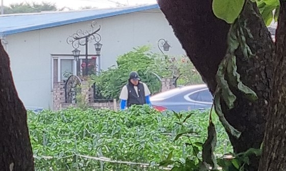 This photo distributed by the Gyeonggi Nambu Provincial Police Agency shows an officer disguised as a farmer at a pepper farm in Naju, South Jeolla Province, in June. (Gyeonggi Nambu Provincial Police Agency)