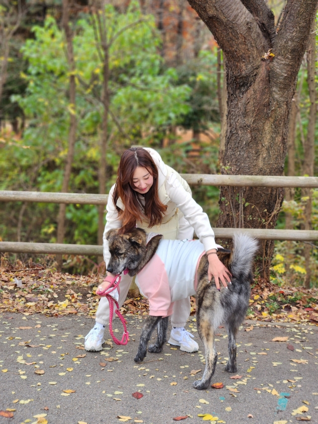 Parade participant Kang Su-kyoung with her brindle-coat Jindo named Kang Su-ho (Song Seung-hyun/The Korea Herald)