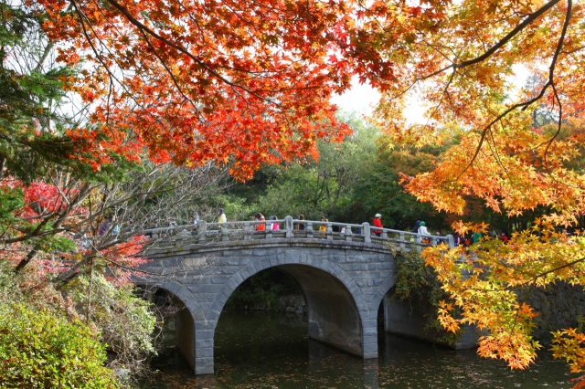 Fall foliage at Bulguksa Temple in Gyeongju, North Gyeongsang Province (KTO)