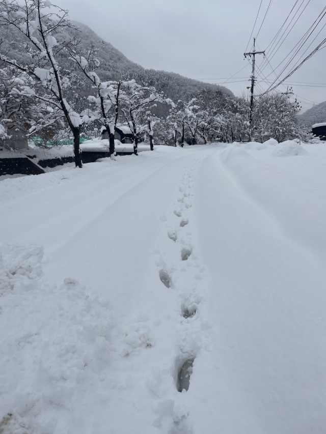 A snow-covered road in the southern part of Gyeonggi Province on Thursday. (Elise Youn/The Korea Herald)