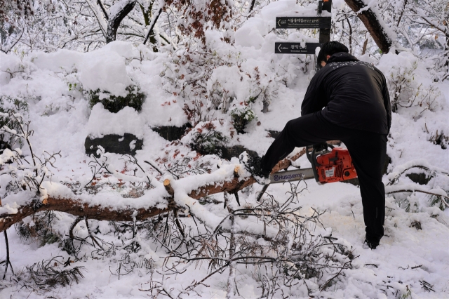 A mountain rescue team member cuts the large-sized branch with a chainsaw on Thursday morning. (Lee Si-jin/The Korea Herald)